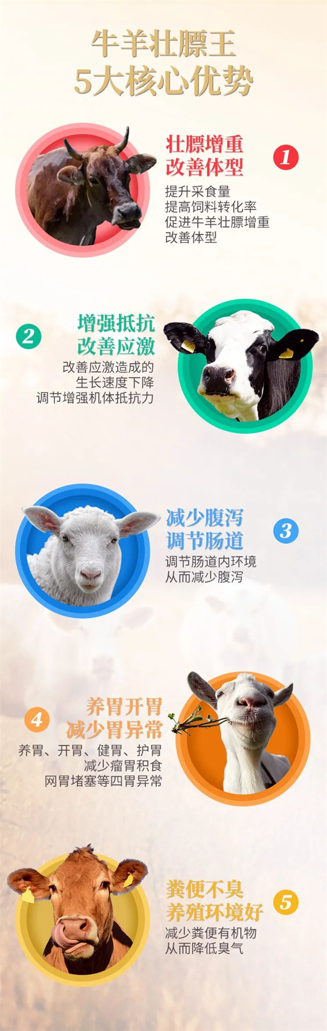 ��ۻ�������Ӽ�ţ��׳����������