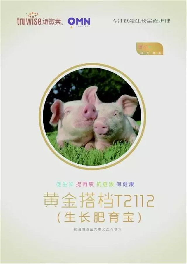 ���ӹ�����ҳ�������Ӽ�