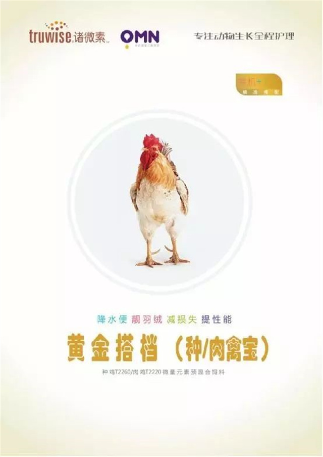 ���ӹ�����ҳ�������Ӽ�