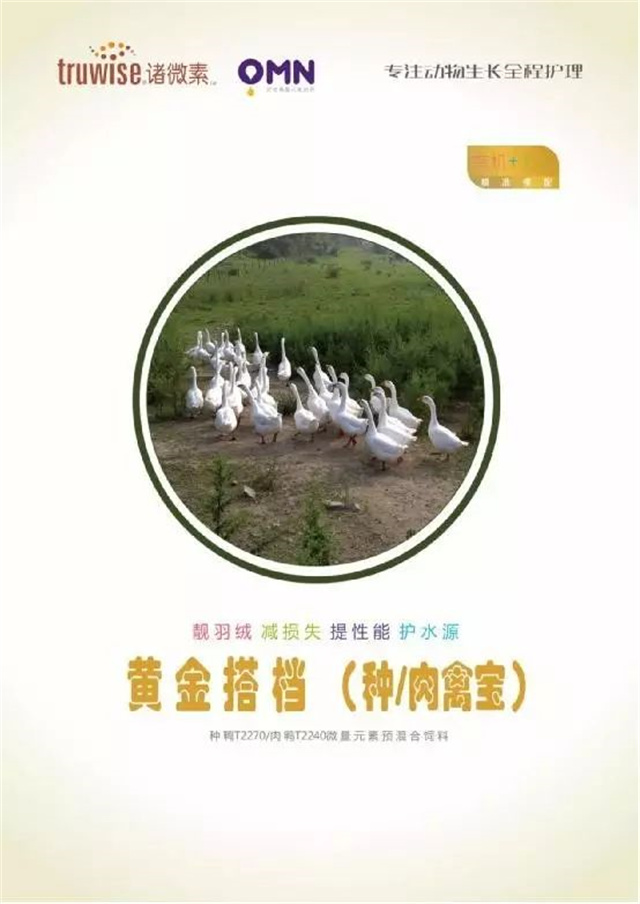 ���ӹ�����ҳ�������Ӽ�