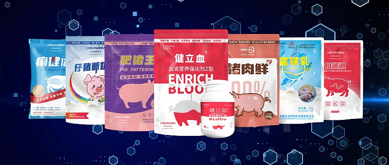 ���ӹ�����ҳ�������������Ӽ�