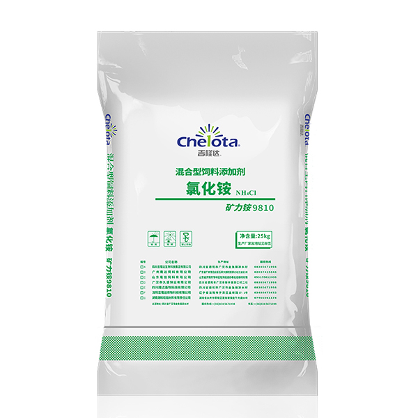 �Ȼ��-���ӹ�����ҳ