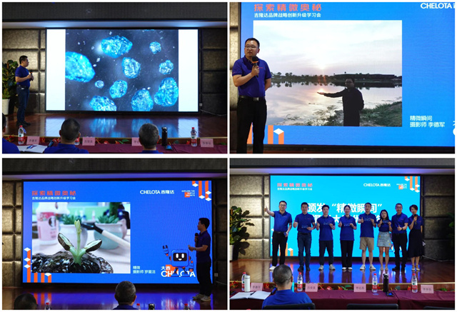 ���ӹ�����ҳƷ���������Ӱ����