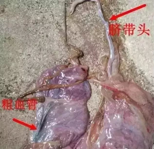 �ж�ĸ���Ƿ�����1���������ͷ