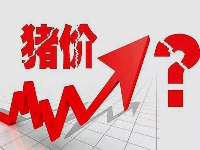 ���ӹ�����ҳ