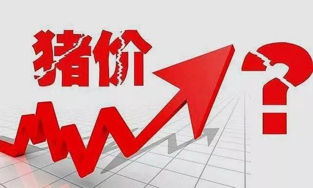 ���ӹ�����ҳ