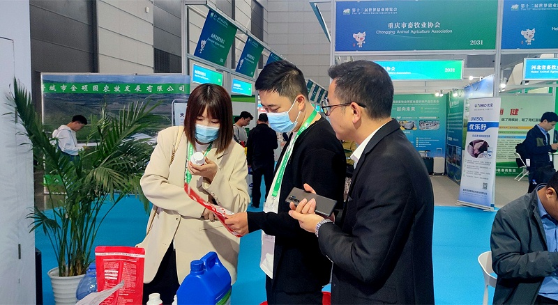 ����������ӹ�����ҳ����չ̨