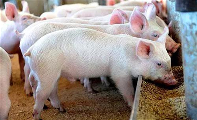 ���ۻ���