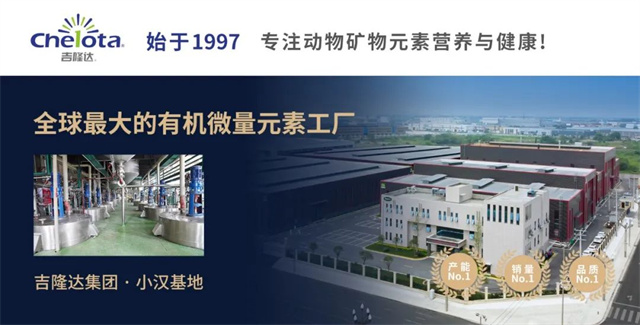 �л�΢���������ӹ�����ҳ