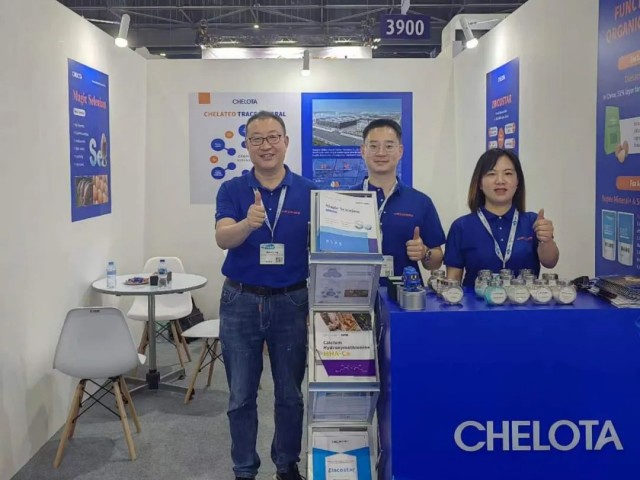 ���޹��ʼ�Լ������չ����