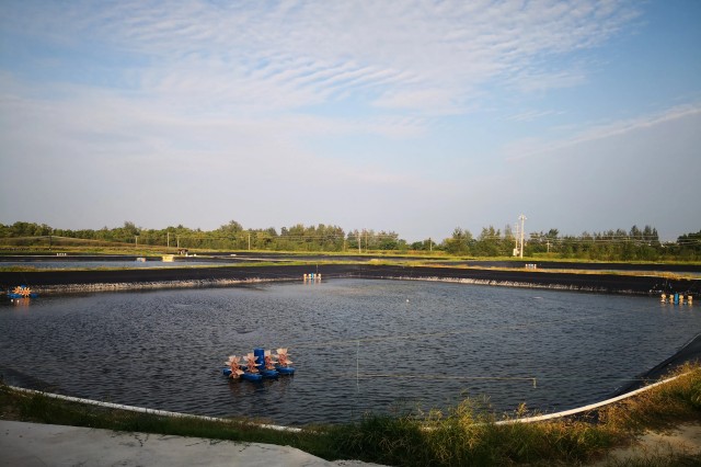 ��ϺӦ����ԭ��